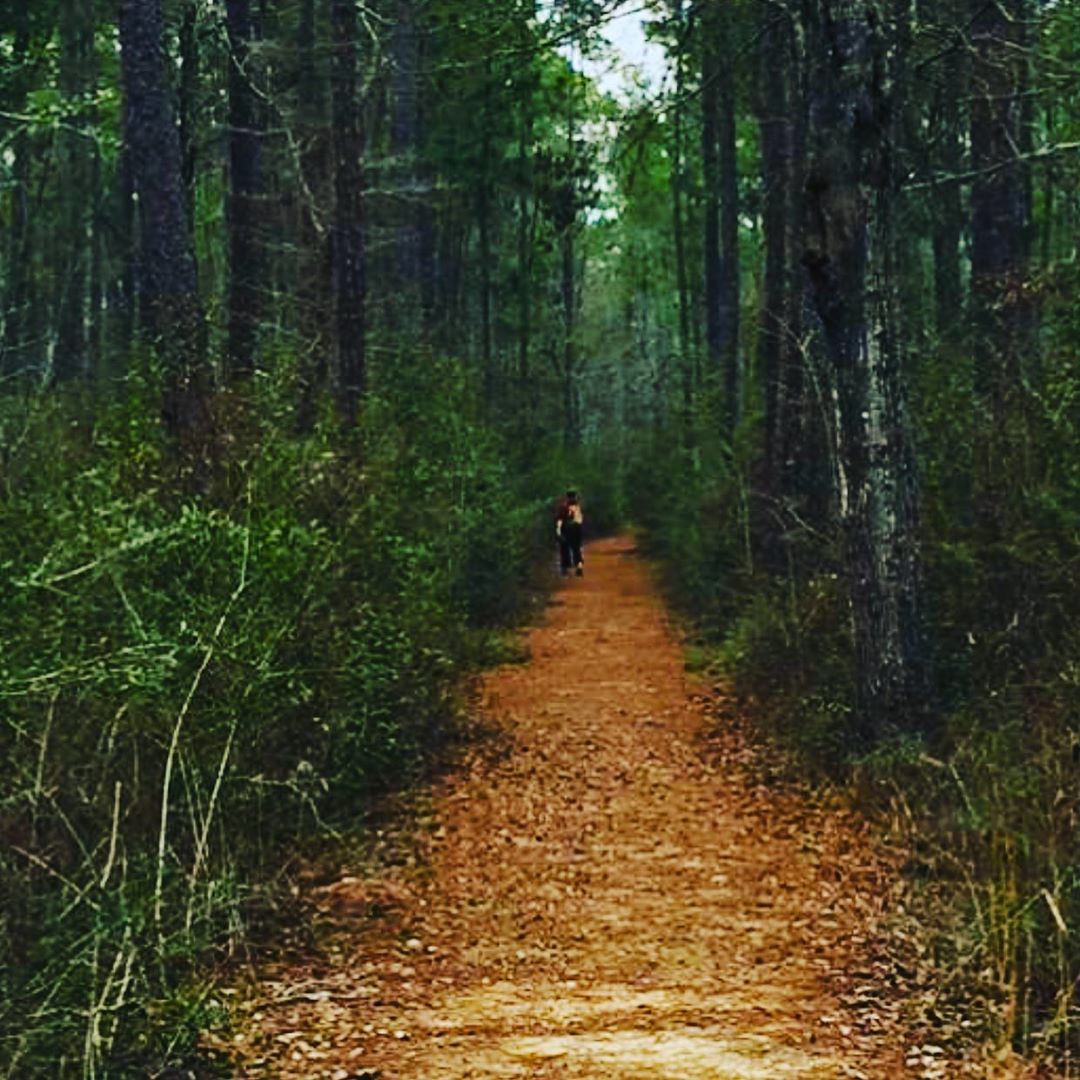 Stacey Cornett Sparkman hikes Tuxachanie Trail Mississippi-hike hiking trail hikingtrail tucach…