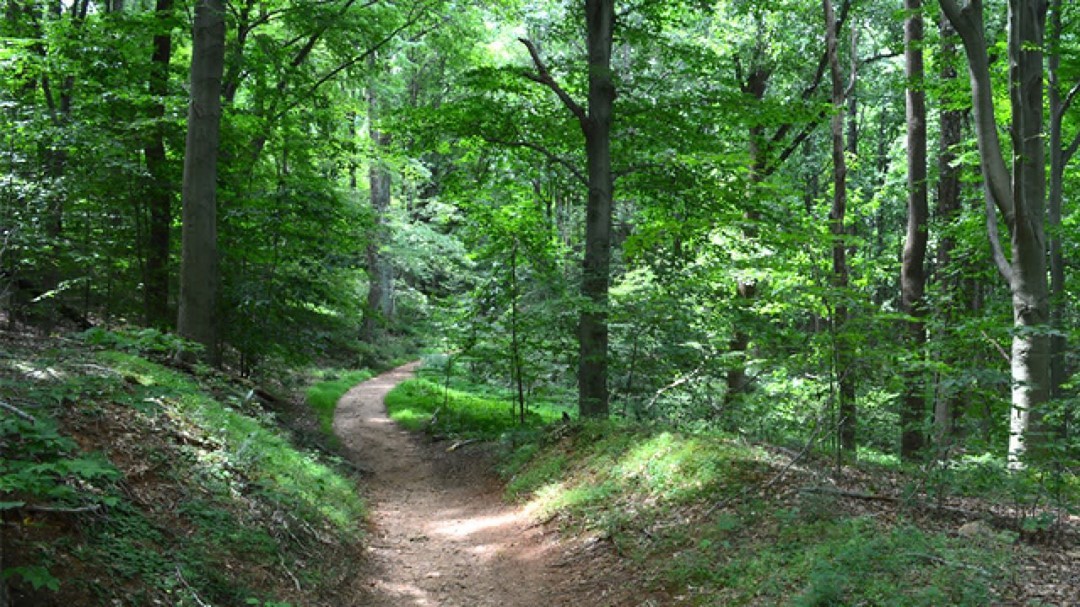 Share your favorite hiking trail in Colorado coloradohiking sharingiscaring outdoors colorado …