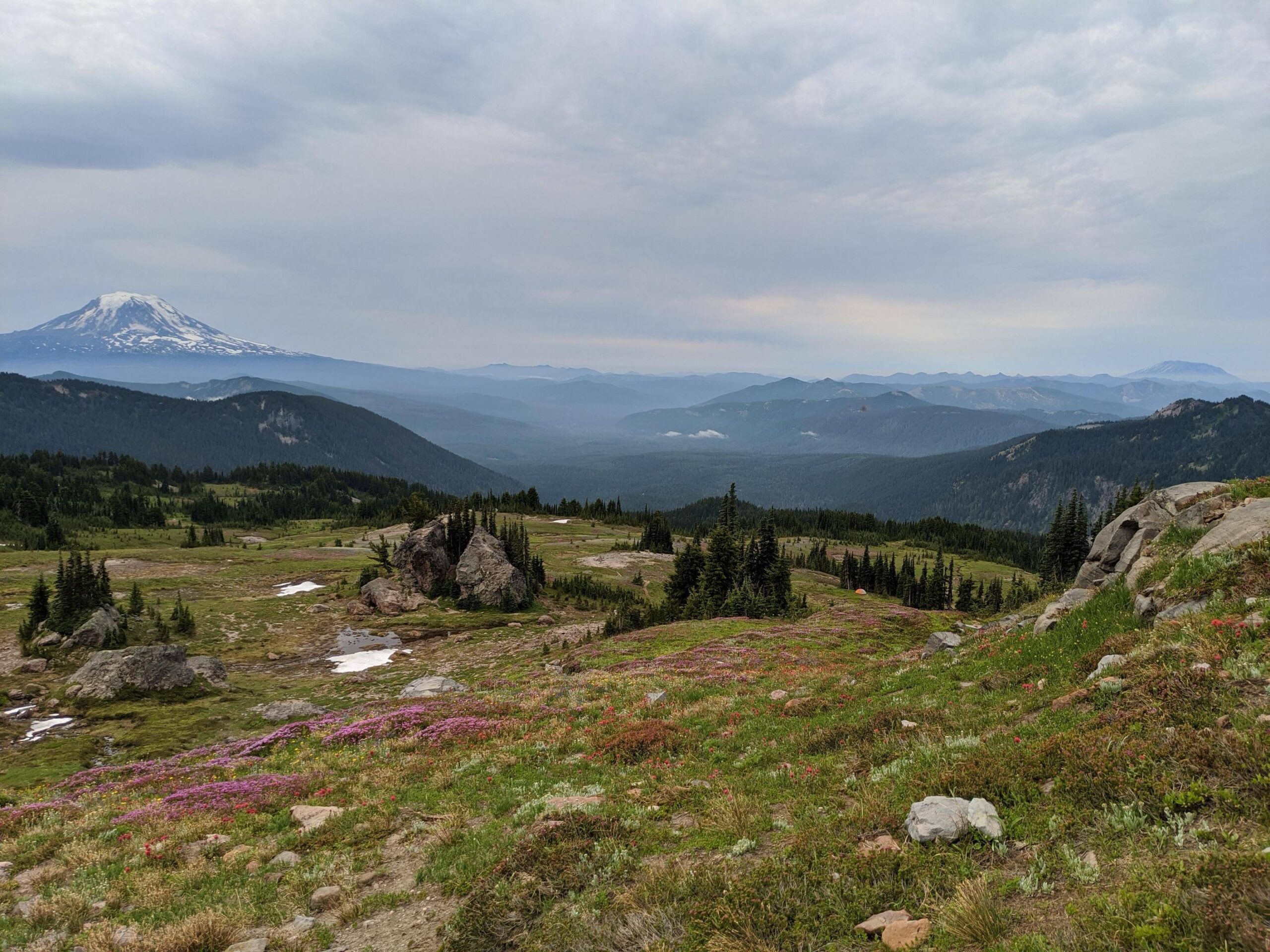 Snowgrass Flats, Goat Rocks Wilderness, Washington, USA.