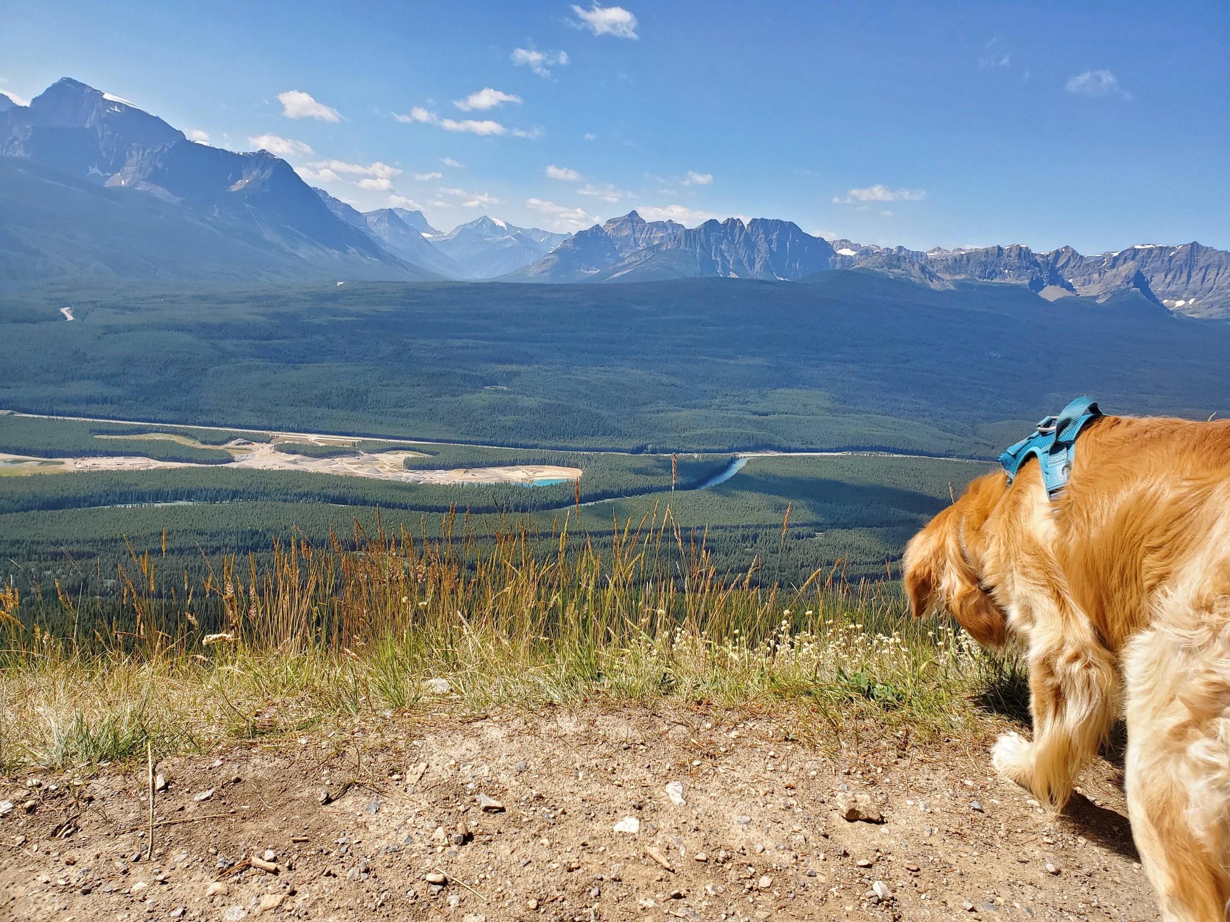 Castle mountain Banff Canada