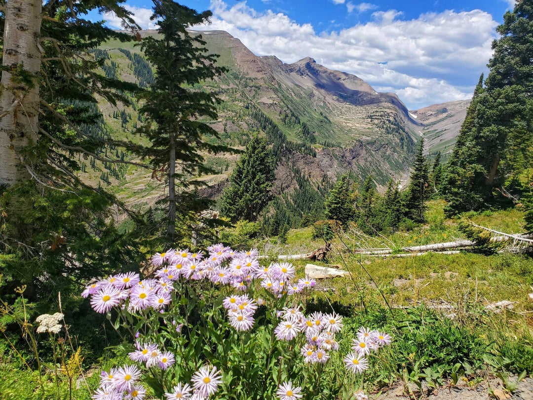 Im always awestruck visiting here. Washington gulch, Crested Butte, CO, USA