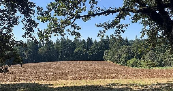 Hiking near at Parrett Mountain in Yamhill County