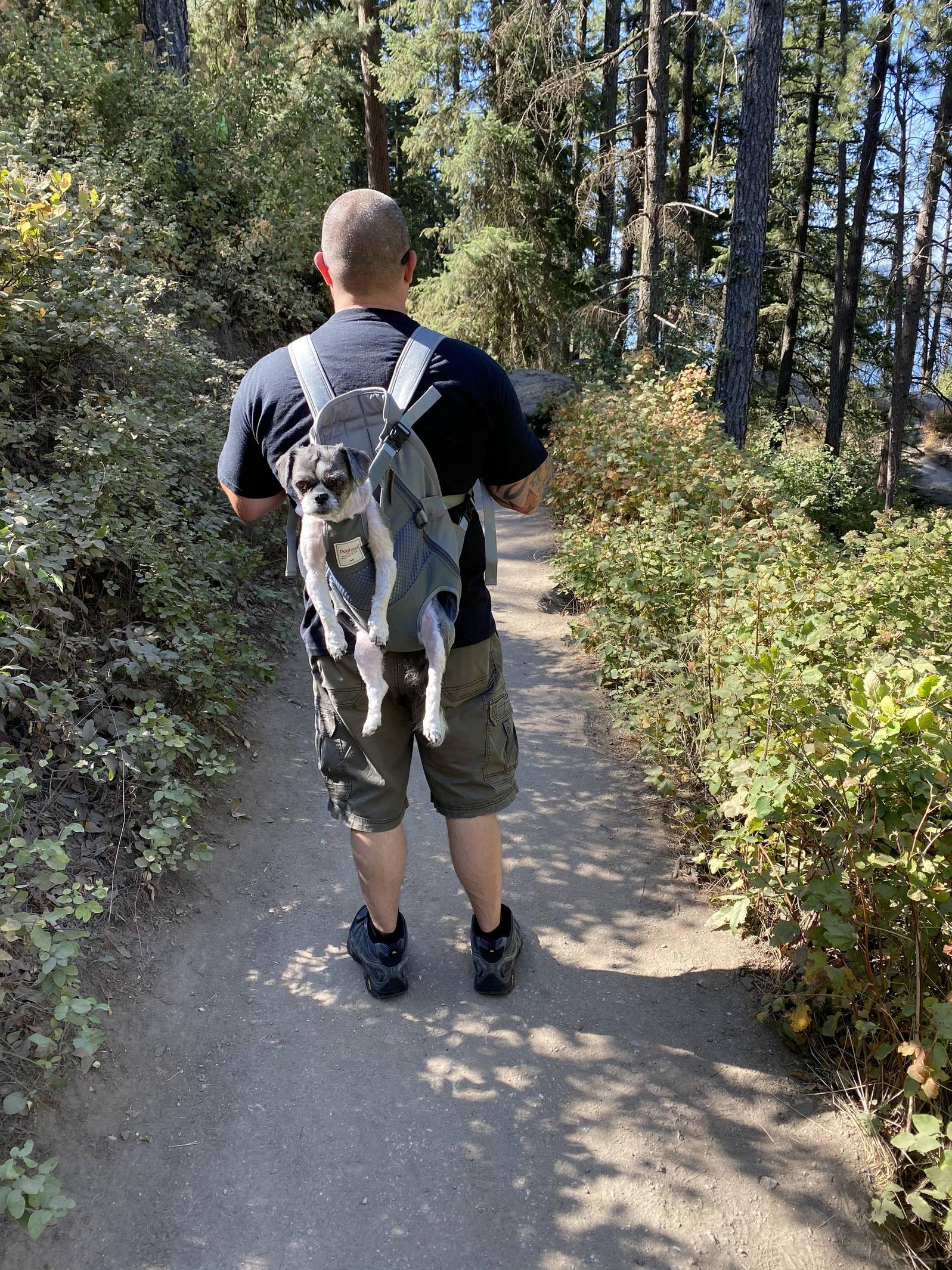 Dre on a hike