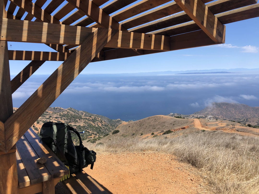 Stumbled upon some very wise words along the Trans-Catalina-Trail.