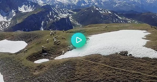 Hiking in the Austrian Alps