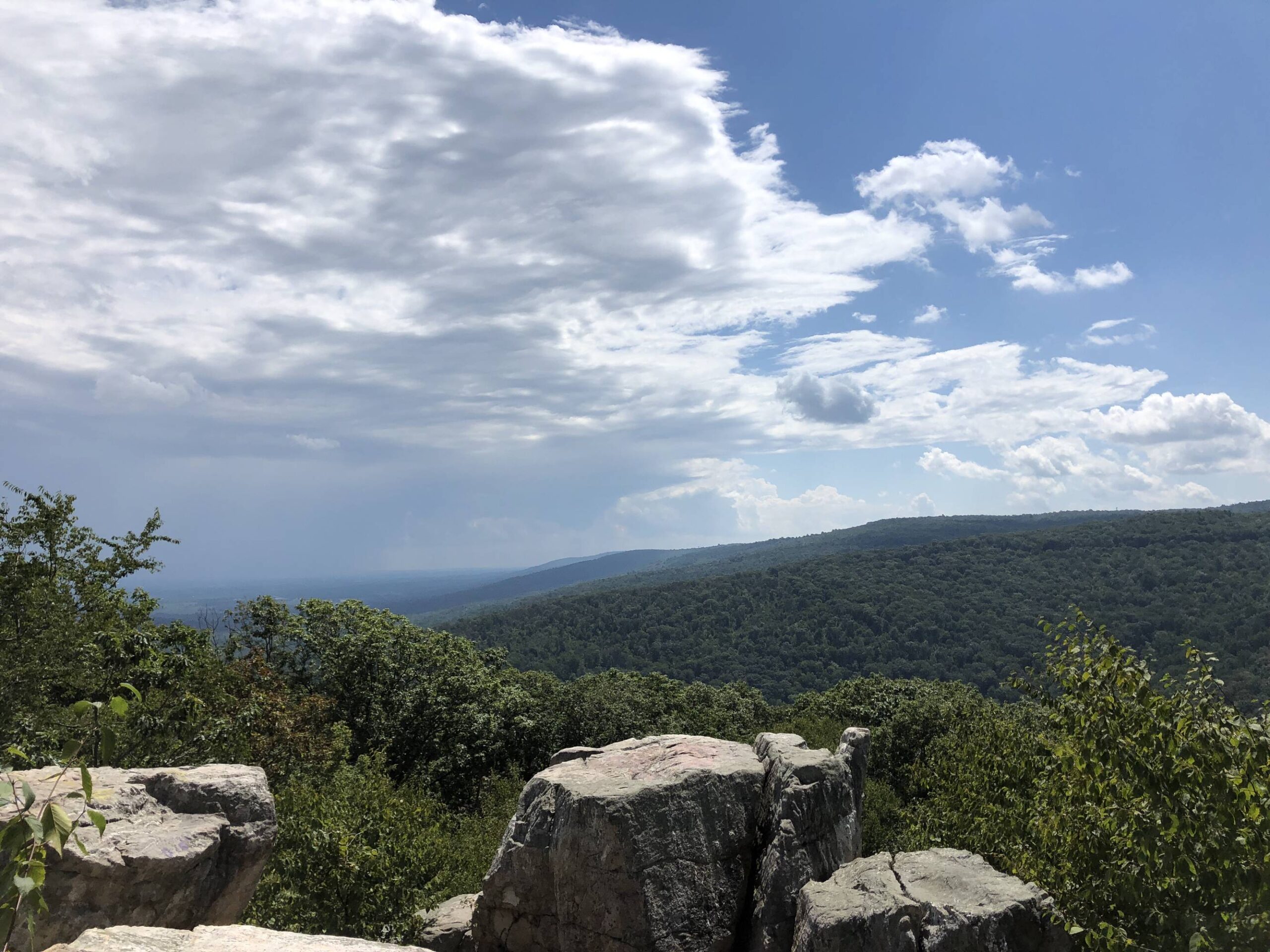 Im a desert boi and my girlfriend took me out to hike in Catoctin Mountain Maryland since I just moved to DC. I didnt know there was this much green in the whole galaxy