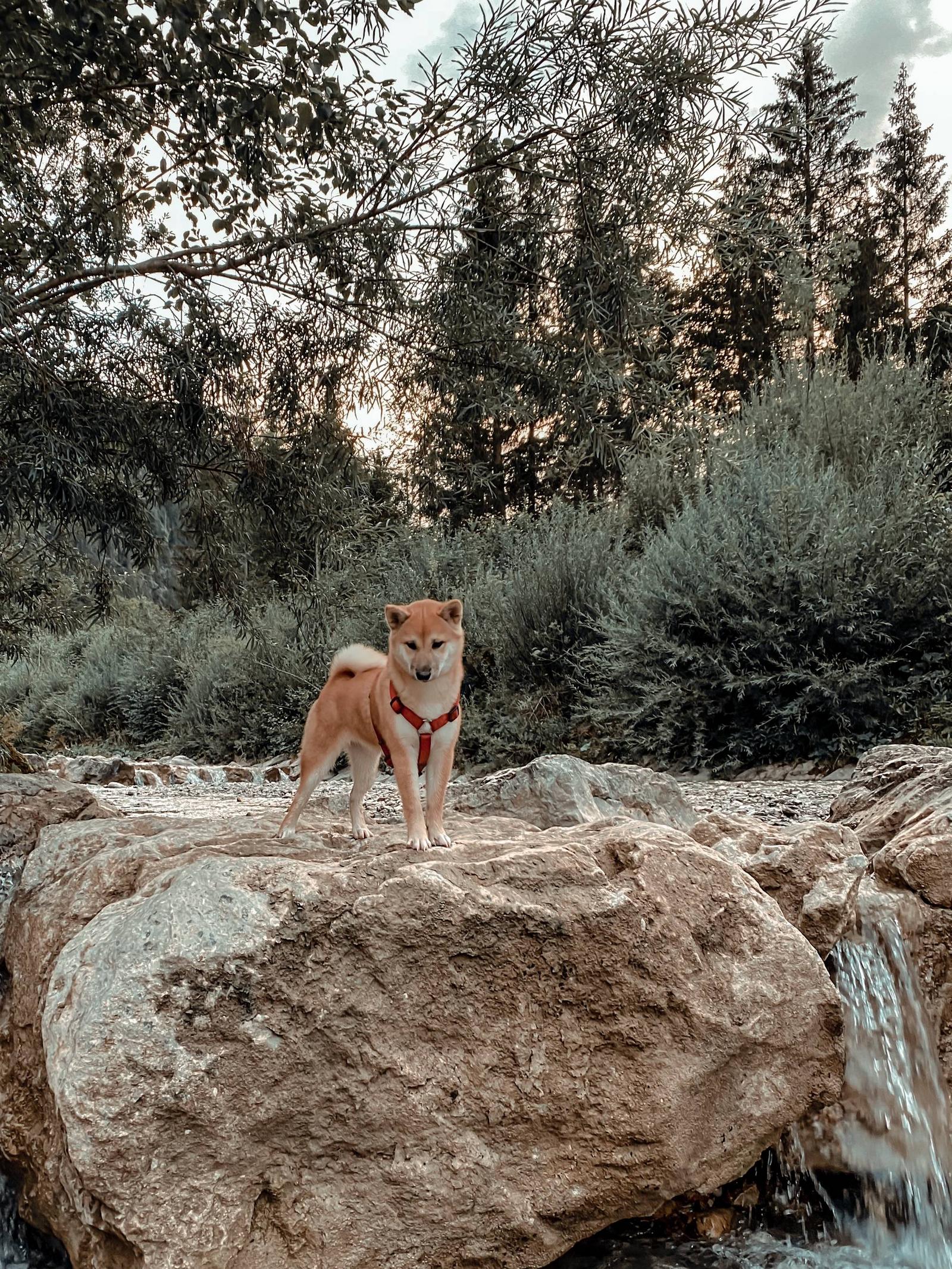 Her first hike