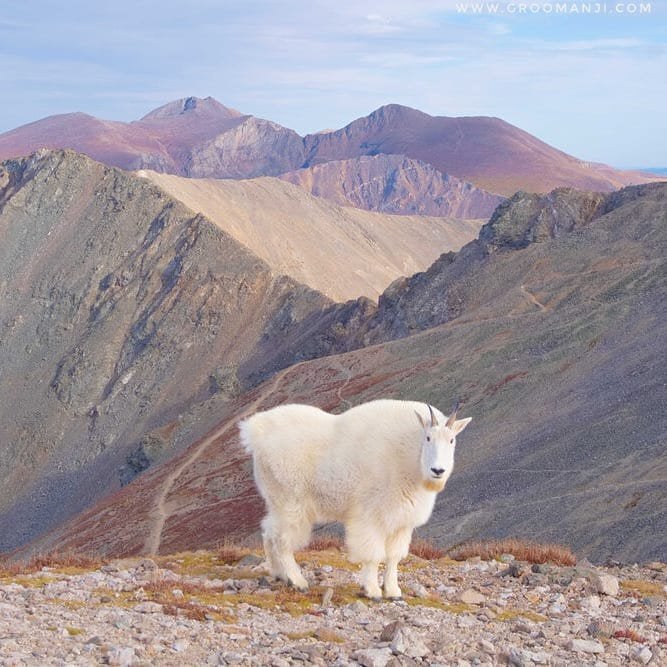 Shot from the saddle between Grays Peak and Torreys Peak, Colorado. One of the best photos from my CDT Thru-hike last year.