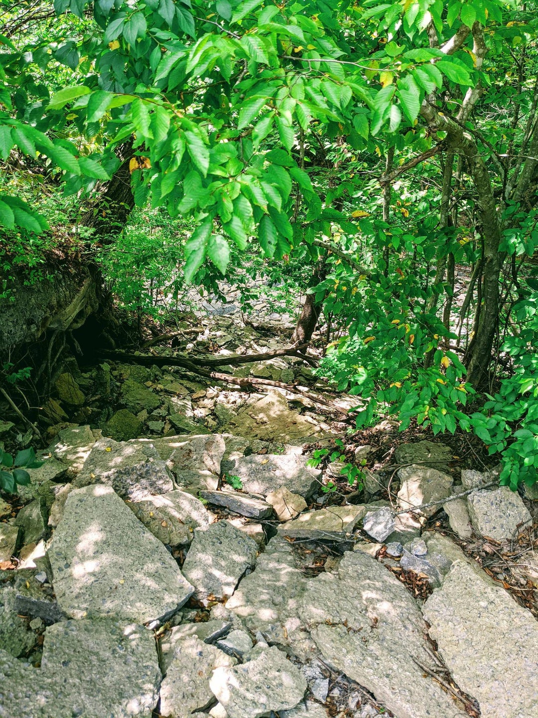 Caesars Creek Park hike in Ohio