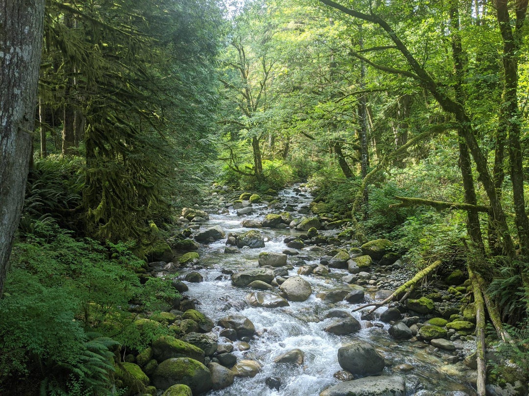 Must have stood here for an hour before continuing the hike.