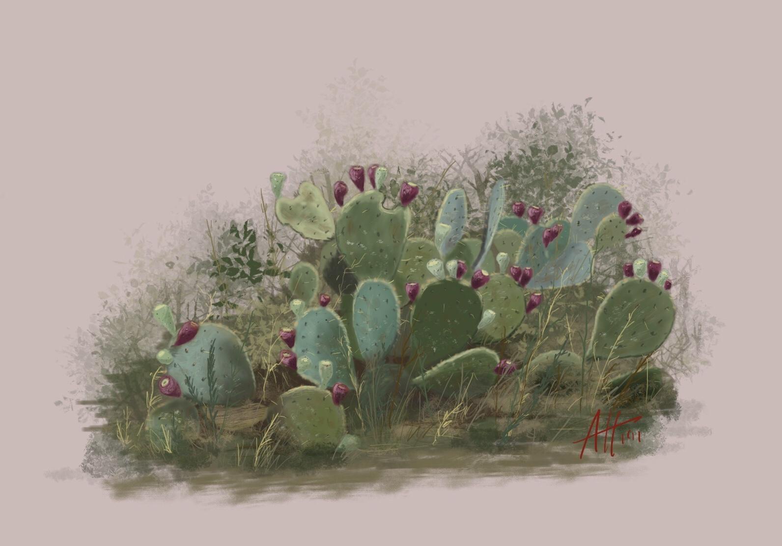 Sketch of some prickly pear and brush I saw while hiking