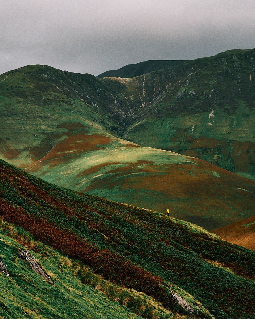 I was waiting for good opportunity to picture the vastness of the English highlands when this gentle…