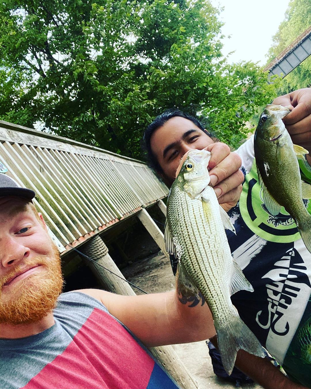 That face when a white bass smokes your ned rig.fishing fish bassfishing catchandrelease fish…