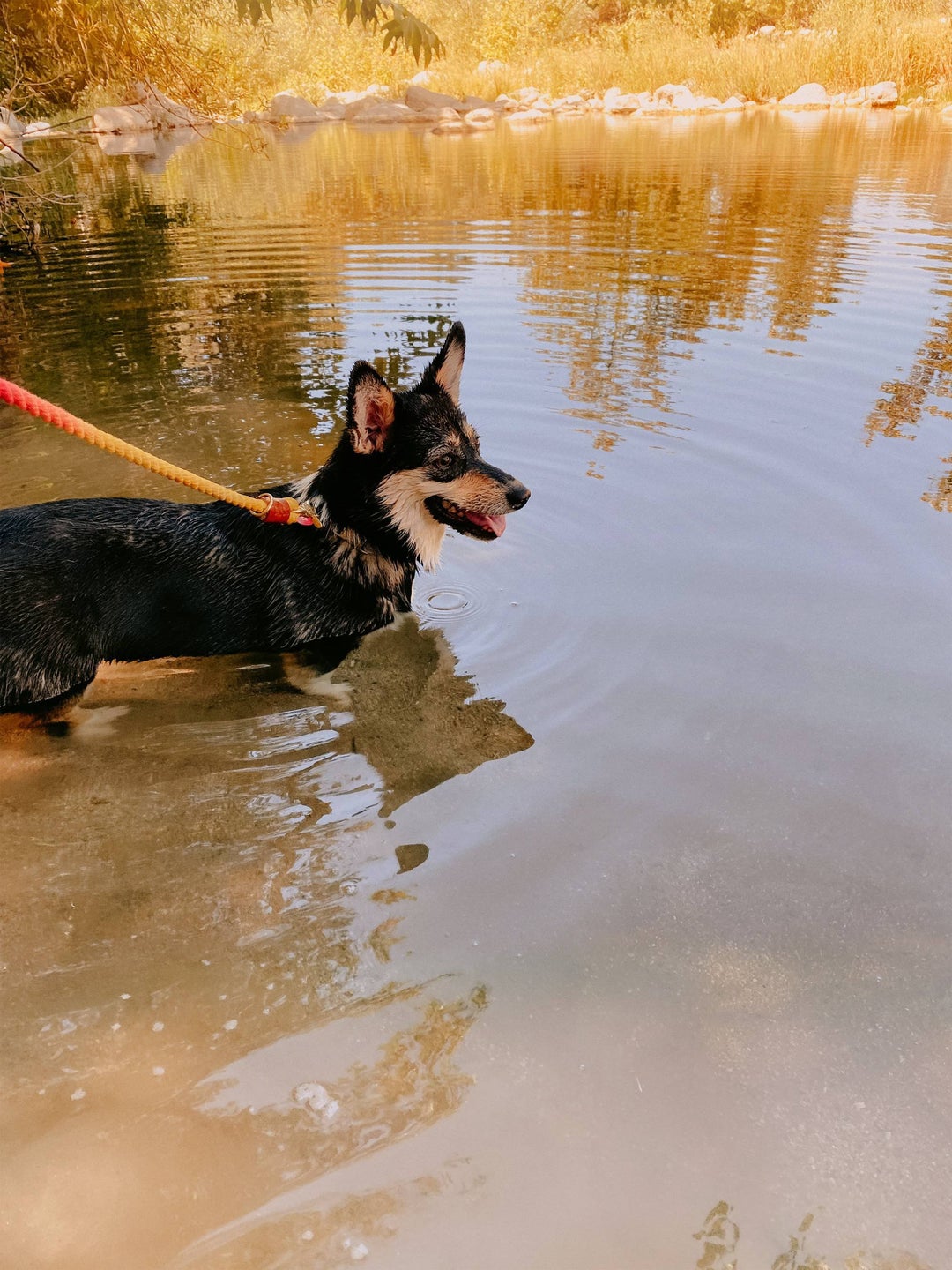 Reys first hike river dip