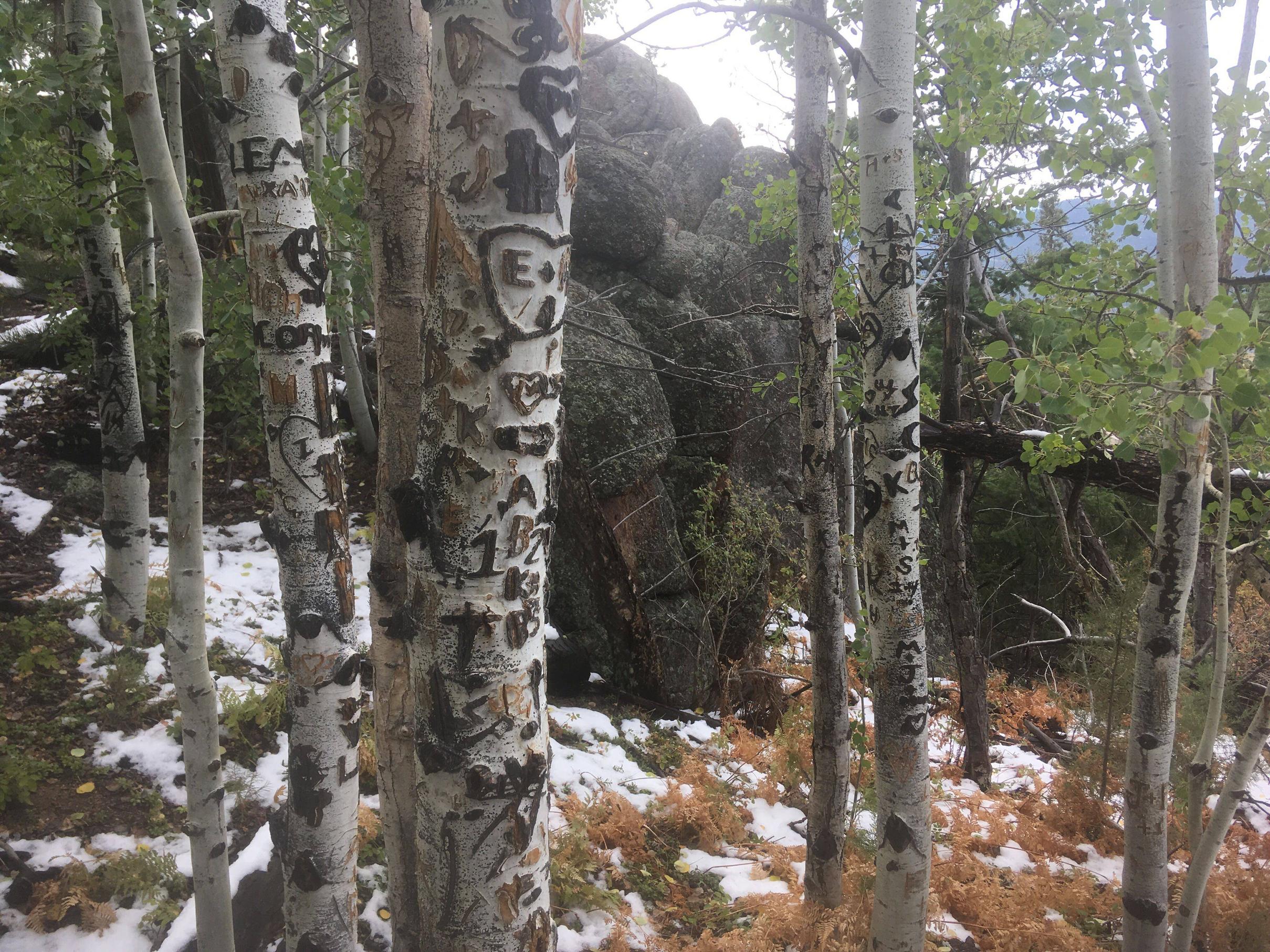 If you ever think of doing this, dont. Gem Lake Trail, RMNP