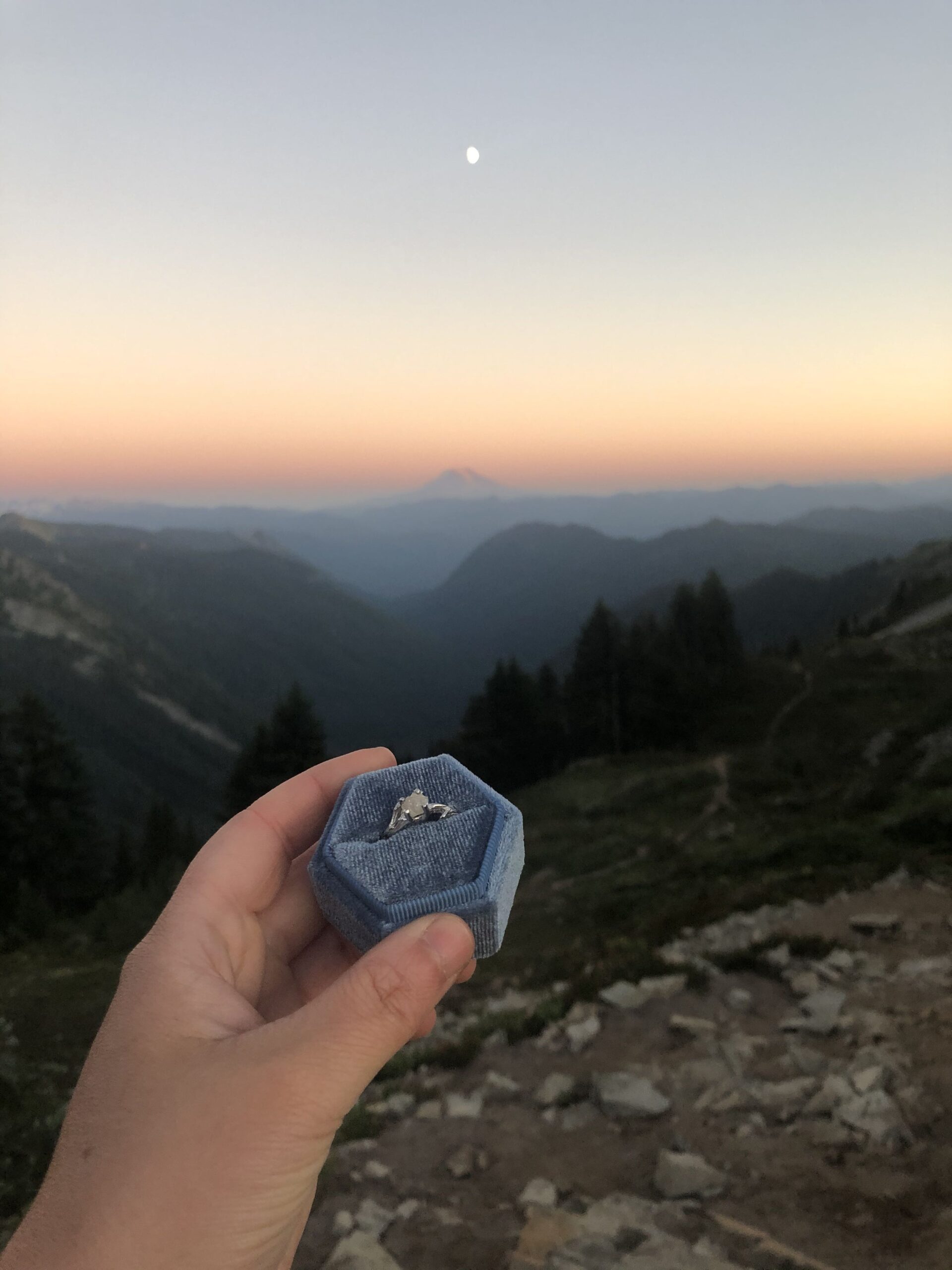 Got engaged while hiking last week