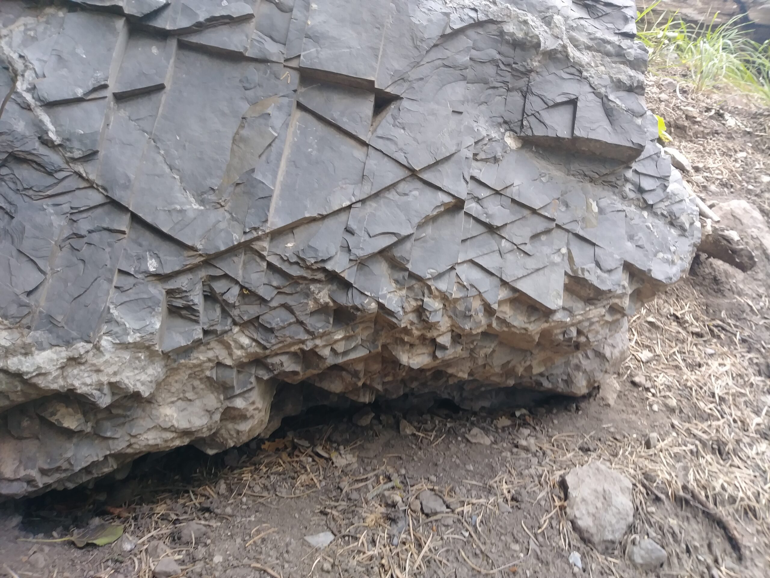 Side of a triangular boulder found outside of Ouray, CO near a hiking trail. Video in comments.