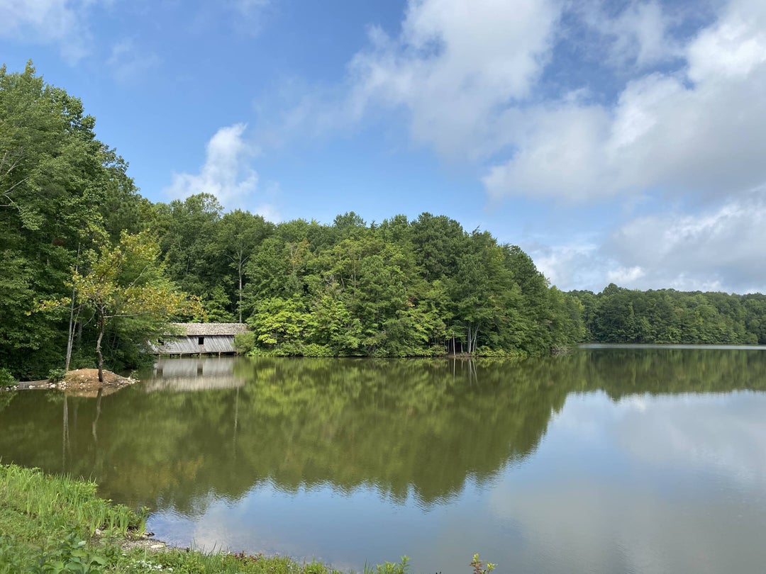 Today I went hiking on Green Mountain at the Madison County Nature Trail. 5 out of 5 stars.