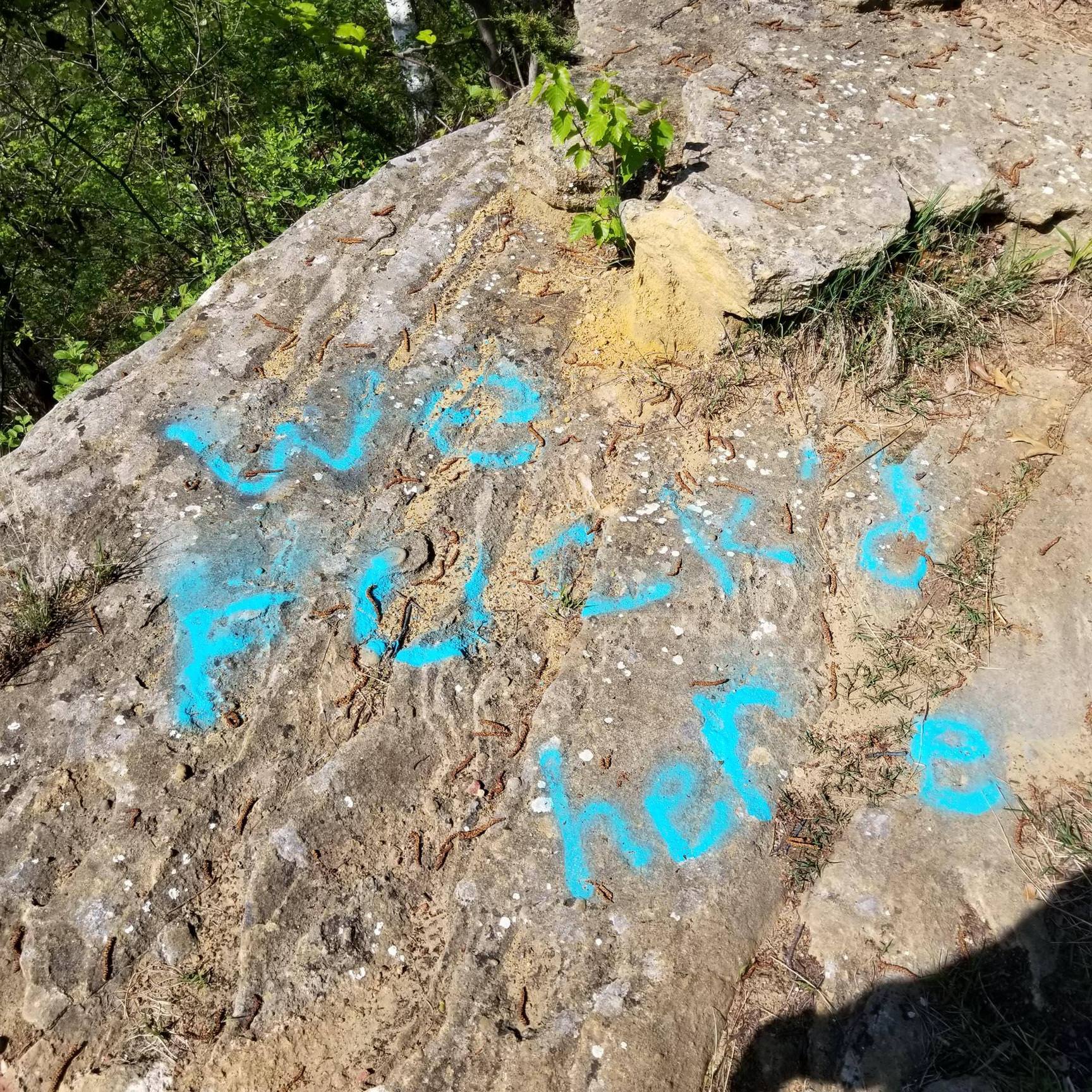 I love seeing this on my hike.